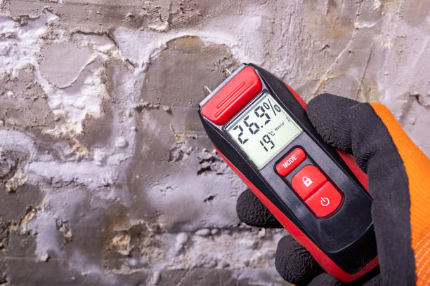Best Residential Mold Removal  in Toluca, IL