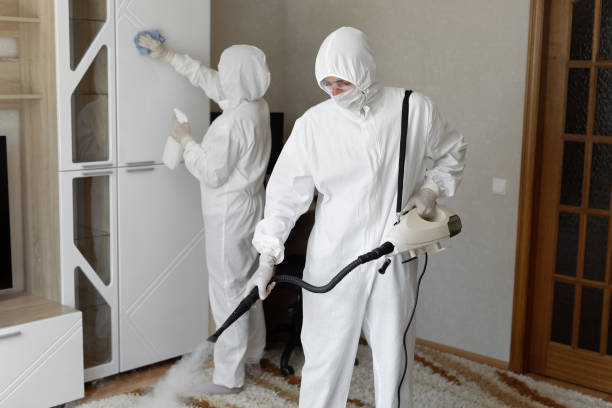 Best Office Mold Removal Services  in Toluca, IL