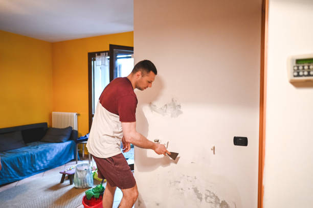 Best Professional Mold Removal  in Toluca, IL