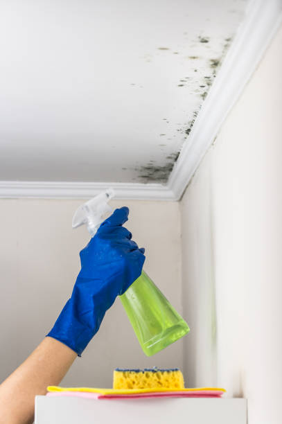 Water Damage Restoration in Toluca, IL